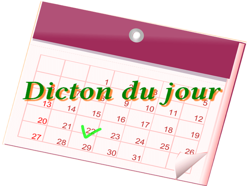 Le dicton du jour